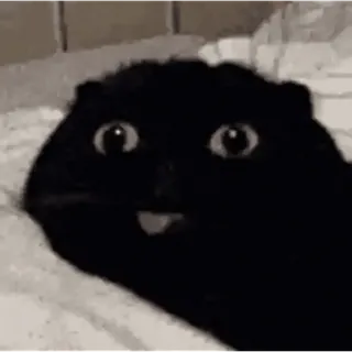 Больше стиков тут: @stikery4 whatsapp stickers