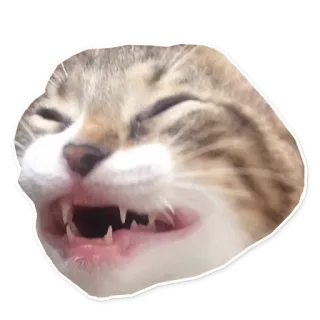 ☹ 752c4405 mèo, động vật, thú cưng, meme, hài hước, răng telegram sticker