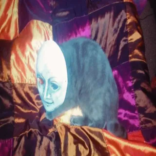 😁 763abab2 kucing, topeng, hewan peliharaan, binatang, menyeramkan, angker telegram sticker