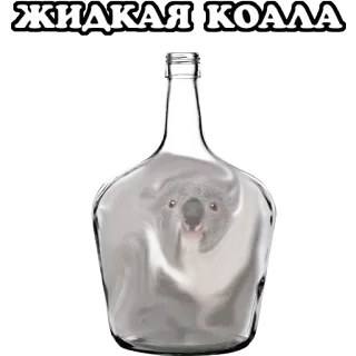 😡 db96f4b8 ЖИДКАЯ КОАЛЛА 코알라, 동물, 병, 웃긴, 액체 telegram sticker