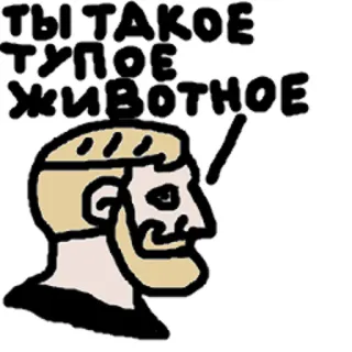 🐵 c43a4490 ТЫ ТАКОЕ ТУПОЕ ЖИВОТНОЕ 侮辱, 冒犯, 表情包, 乍得 telegram sticker