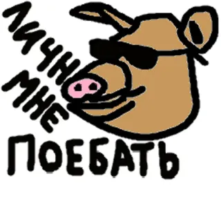 🐷 f0b18661 ЛИЧНО МНЕ ПОЕБАТЬ 猪, 太阳镜, 酷, 俄罗斯, 冷漠 telegram sticker
