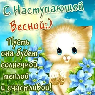 😺 1426f586 С Наступающей Весной:) Пусть она будет солнечной, теплой и счастливой! spring, cat, flowers, greeting, cute, seasonal, illustration telegram sticker
