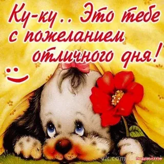 🐶 192d3670 Ку-ку.. Это тебе с пожеланием отличного дня! dog, flower, cute, greeting, good day, peekaboo telegram sticker