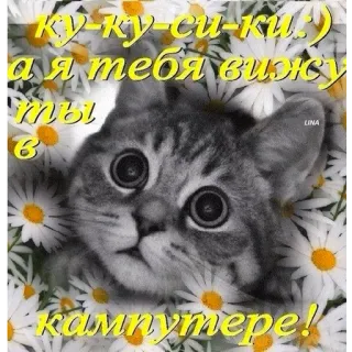 👀 74253a32 ку-ку-си-ки
а я тебя вижу
ты
в
кампутере! cat, flowers, peek-a-boo, cute, pet, animal, computer, russian telegram sticker