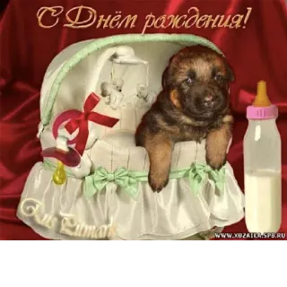 🍼 755024b6 С Днём рождения! puppy, dog, happy birthday, greeting, cute telegram sticker