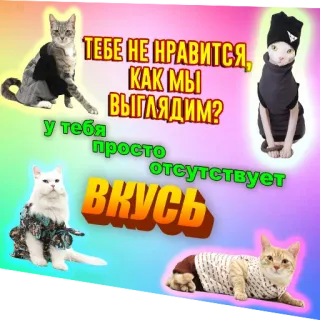 👄 b1f91110 ТЕБЕ НЕ НРАВИТСЯ, КАК МЫ ВЫГЛЯДИМ?
У тебя просто отсутствует ВКУСЬ cat, cats, meme, animals, humor, funny, dressed cat telegram sticker