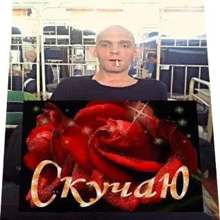 🌹 b3fe8cef Скучаю rose, red, missing you, flower, greeting, love telegram sticker