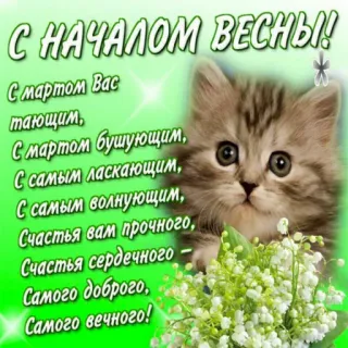 😻 cd2e37c8 С НАЧАЛОМ ВЕСНЫ!
С мартом Вас
тающим,
С мартом бушующим,
С самым ласкающим,
С самым волнующим,
Счастья вам прочного,
Счастья сердечного -
Самого доброго,
Самого вечного! spring, kitten, flowers, greeting, russian, march, holiday telegram sticker