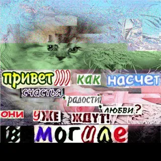 ☠ d71ce009 привет))) как насчет счастья, радости, любви? ОНИ УЖЕ ЖДУТ! В могиле russian, cat, greeting, happiness, joy, love, grave telegram sticker