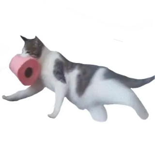 🧻 b8e00184 chat, papier toilette, humour, animal de compagnie, animal, chat domestique telegram sticker