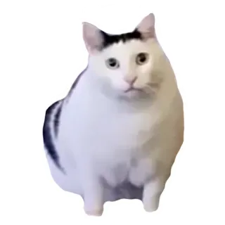 Всратыши • @TgStickery telegram stickers