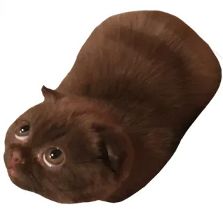 Всратыши • @TgStickery telegram stickers