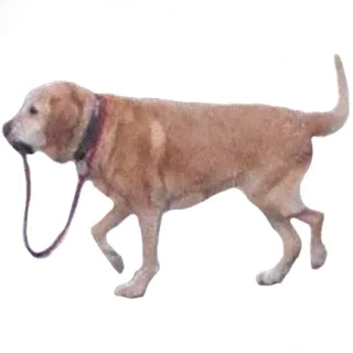 Всратыши • @TgStickery telegram stickers