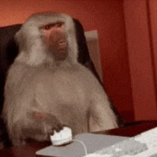 🖥 5094c28d mono, escribiendo, escritorio, ordenador, oficina, animal whatsapp sticker