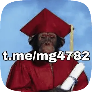 🔈 b8004342 t.me/mg4782 mono, graduación, diploma, birrete, animal, Telegram, redes sociales whatsapp sticker