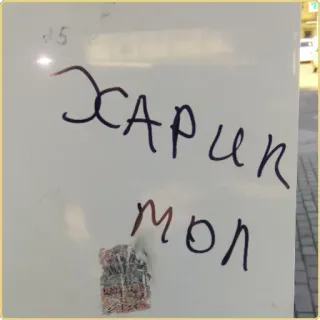 🐷 02d098ac Харип мол telegram sticker