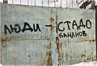 🐑 1ffc2c78 ЛЮДИ - СТАДО
БАНАНОВ Граффити, Русский, Текст, Сообщение telegram sticker