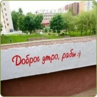 ☕️ 231201af Доброе утро, рады:) русский, текст, доброе утро, утро, цитата, кириллица telegram sticker