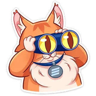 🔍 0df5def1 kucing, teropong, hewan, stiker, kucing oren, melihat, mengamati, hewan peliharaan telegram sticker