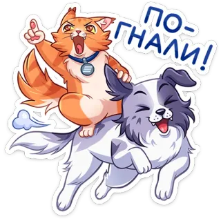 🏃‍♂️ 3ecad79a ПО-ГНАЛИ! kucing, anjing, binatang, kartun, berkuda, petualangan telegram sticker