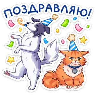 🥳 af4062a4 ПОЗДРАВЛЯЮ! perayaan, selamat, pesta, kucing, anjing, binatang, stiker, ulang tahun telegram sticker