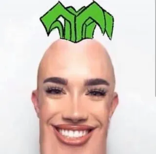 😁 306a9f3e James Charles Meme, Lustig, Porträt, Promi, Humor, Frisur whatsapp sticker