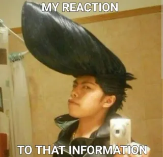 😏 6e5a1516 MY REACTION
TO THAT INFORMATION reaktion, haare, meme, lustig, internet whatsapp sticker