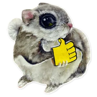 👍 6383d95c scoiattolo, pollice in su, carino, animale whatsapp sticker