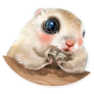 🐿 6cf50c99 scoiattolo, animale, carino, roditore whatsapp sticker