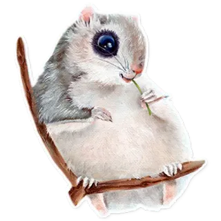 🥗 93ef3012 scoiattolo, animale, carino, fauna selvatica, mammifero, roditore whatsapp sticker