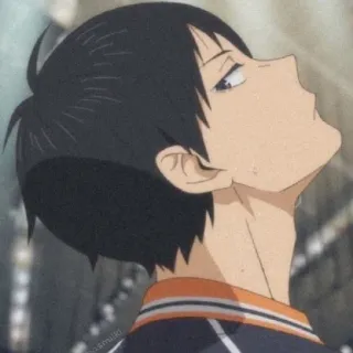 ⚫ 16586dfb Tobio Kageyama Haikyuu!! 애니메이션, 하이큐, 카게야마, 토비오, 스포츠, 배구 telegram sticker