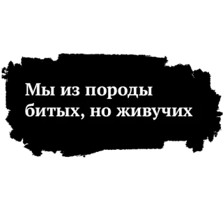 😵 f0ff2827 Мы из породы битых, но живучих rusia, teks, penyintas, frasa telegram sticker