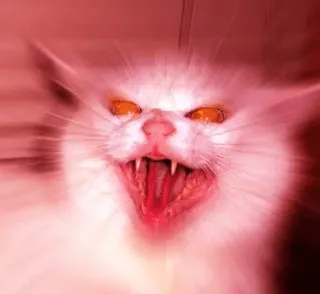 Wwaaaaaahhhh whatsapp stickers