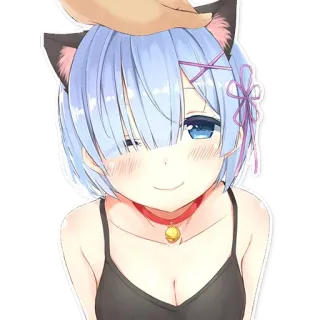 😽 ef81c6b0 Rem Anime, Orecchie da gatto, Carino, Kawaii, Capelli blu, Collare telegram sticker
