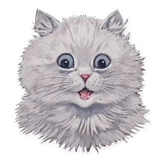 🐱 f30e82a4 猫, 小猫, 可爱, 动物, 宠物, 毛茸茸 telegram sticker