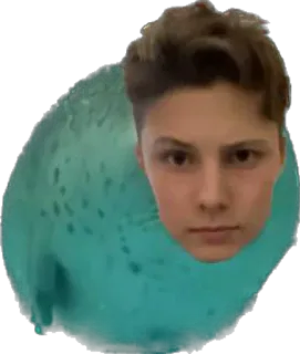 🦭 b8777dfb telegram sticker