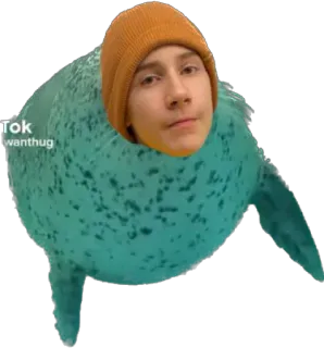 🦭 db6ee5b3 wanthug 물개, 밈, 웃긴, 틱톡, 사람, 모자, 유머 telegram sticker