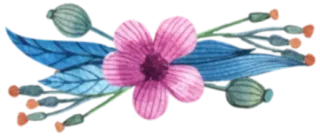 🌈 07742237 flor, floral, decoração, planta, folhas, rosa telegram sticker