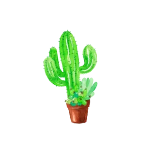 🌈 2e1858fa cacto, planta, suculenta, planta em vaso, botânico, verde telegram sticker