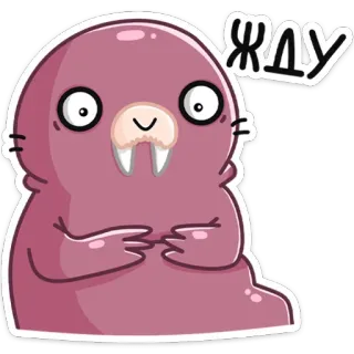 ⏳ 18823ecb ЖДУ tricheco, in attesa, animale, carino, cartone animato, mammifero telegram sticker