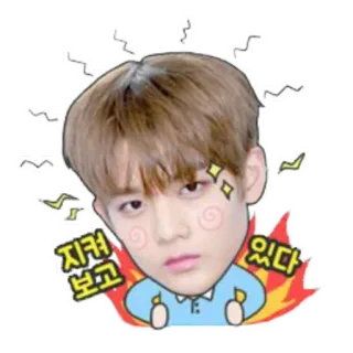 🕶 be2b6c94 지켜 보고 있다 coreano, cara, mirando, pegatina telegram sticker