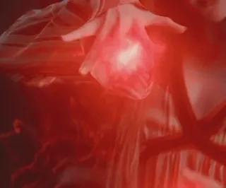 😎 e1672a12 telegram sticker