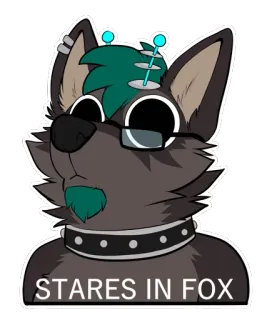 👀 38c06c05 STARES IN FOX Furry, Antropomorf, Vos, Staart, Meme, Grappig telegram sticker