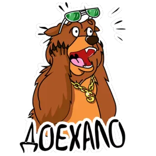 😱 d06a1f1d ДОЕХАЛО 만화 곰, 충격 받은, 놀란, 선글라스, 금 목걸이 telegram sticker