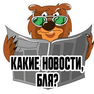 📃 df89b13a КАКИЕ НОВОСТИ, БЛЯ? 곰, 신문, 독서, 선글라스, 러시아, 저주, 뉴스 telegram sticker