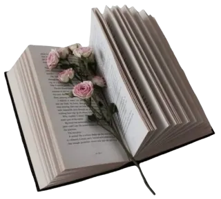 warm ♡ @tulikettuwu telegram stickers