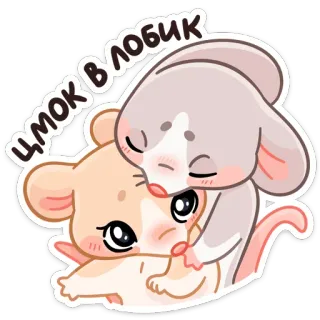 😘 64adcc6f Цмок в лобик ratón, lindo, animales, amor, beso telegram sticker