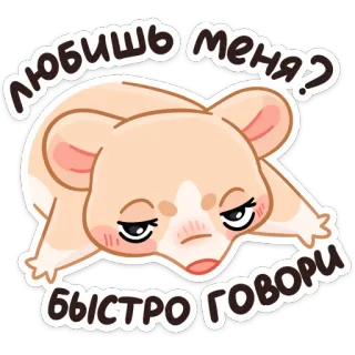 ❓ d6c2d55f ЛЮБИШЬ МЕНЯ?
БЫСТРО ГОВОРИ hámster, lindo, animal, gracioso telegram sticker