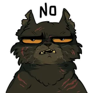 😑 c666eede NO кот, злой, нет telegram sticker